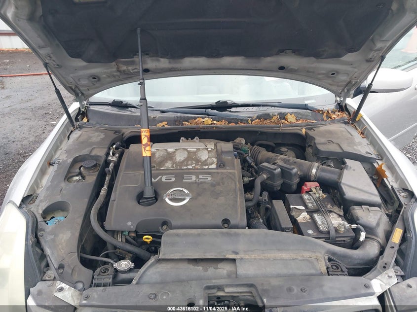 2004 Nissan Maxima 3.5 Se VIN: 1N4BA41E54C808867 Lot: 43616102