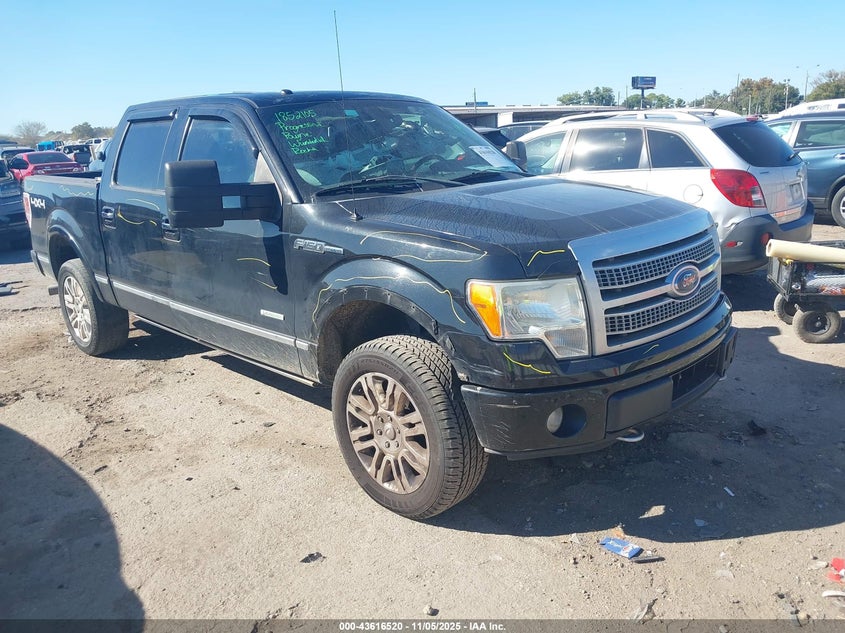 FORD F-150 PLATINUM