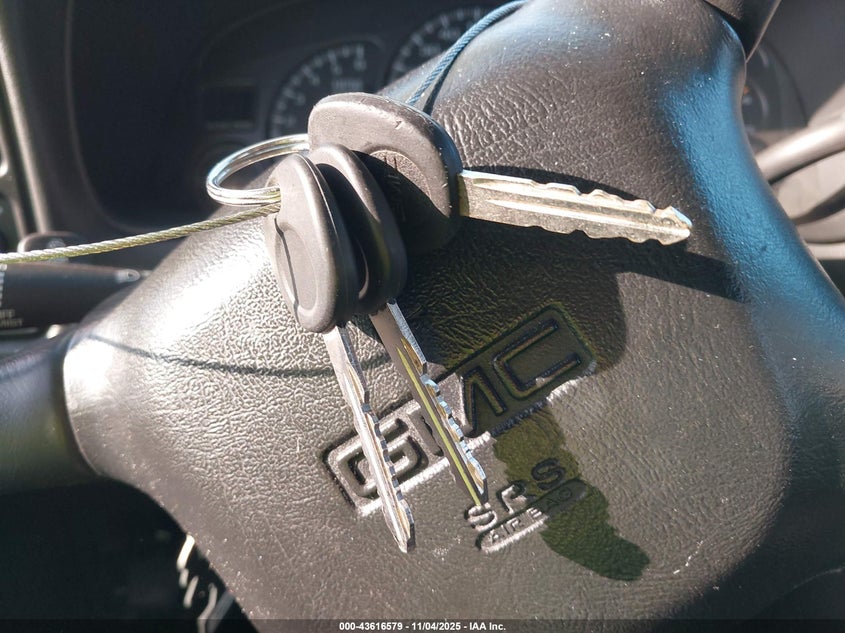 2002 GMC Sierra 1500 Sle VIN: 2GTEC19T721170055 Lot: 43616579