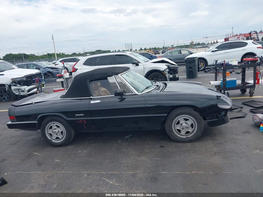 ZARBA12C0L6001546 1990 ALFA ROMEO SPIDER photo no. 14