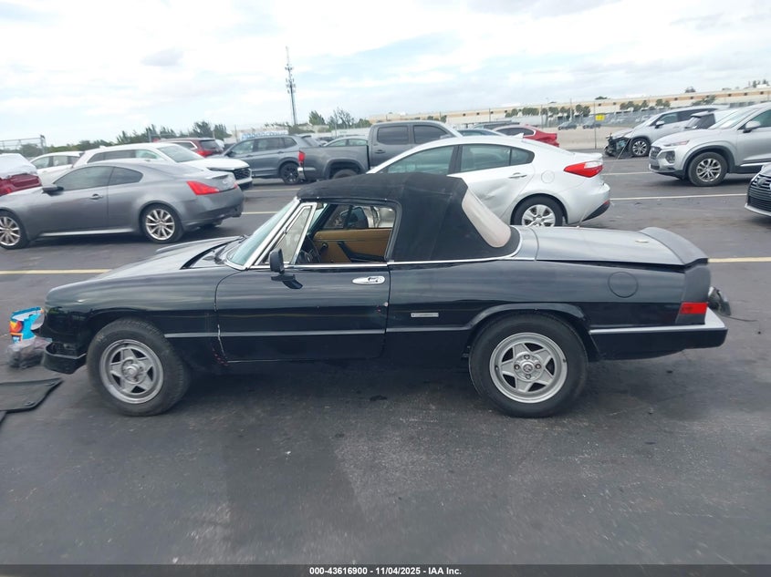 ZARBA12C0L6001546 1990 ALFA ROMEO SPIDER photo no. 15