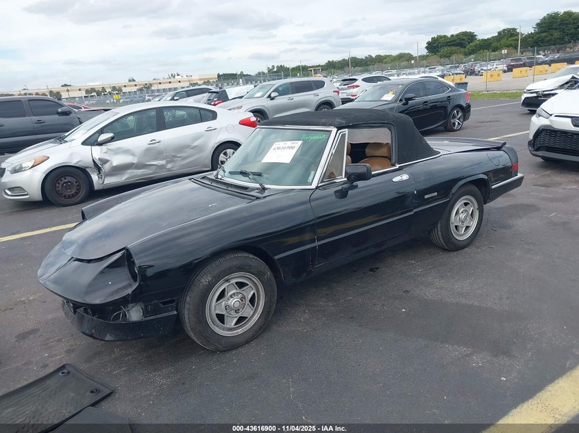 ZARBA12C0L6001546 1990 ALFA ROMEO SPIDER photo no. 2