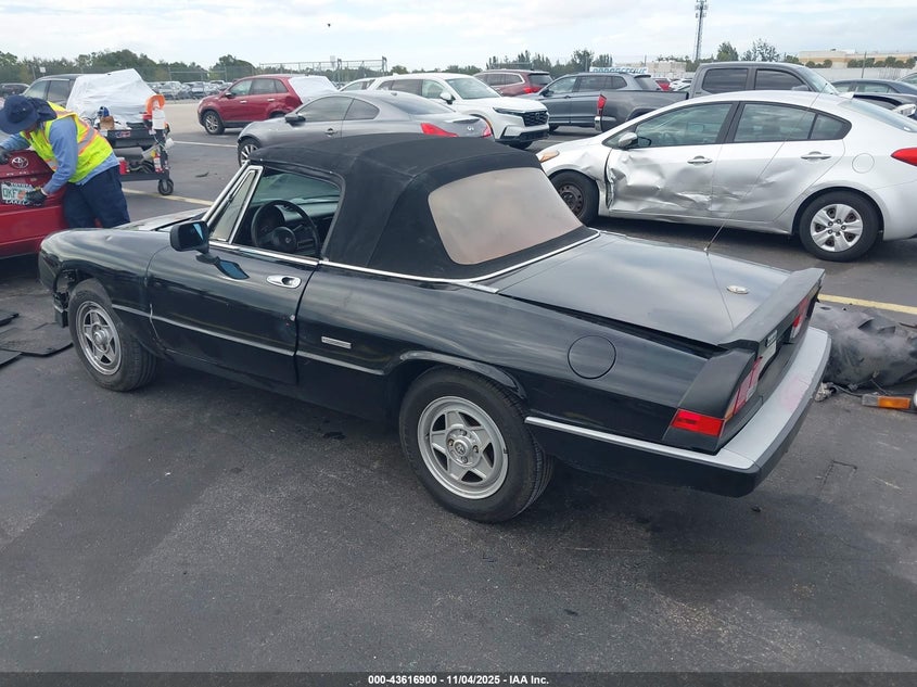 ZARBA12C0L6001546 1990 ALFA ROMEO SPIDER photo no. 3