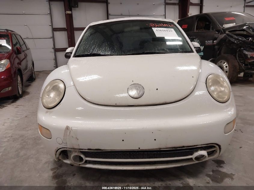 2002 Volkswagen New Beetle Gls VIN: 3VWCK21C82M455011 Lot: 43616929