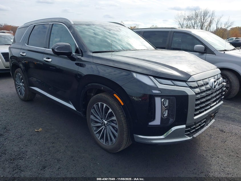 HYUNDAI PALISADE CALLIGRAPHY