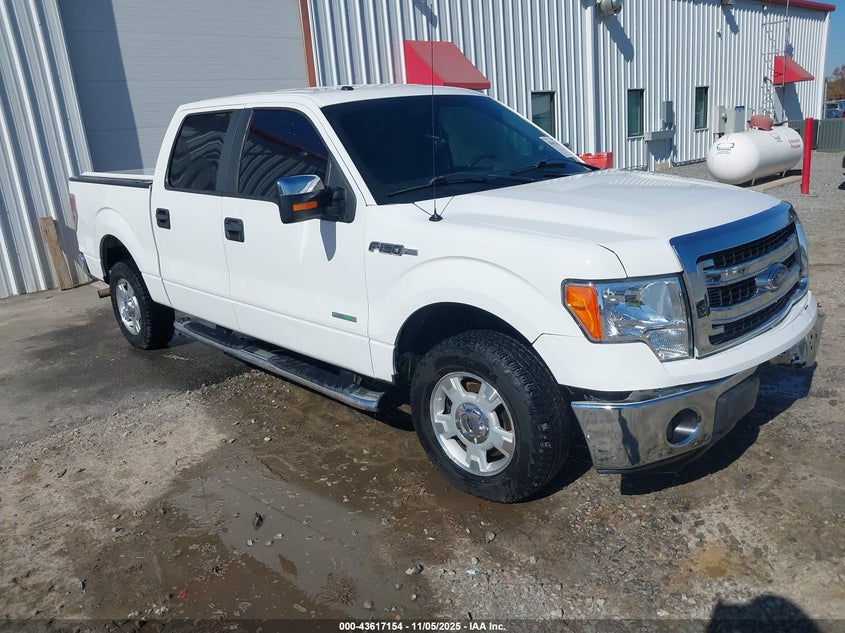 FORD F-150 XLT