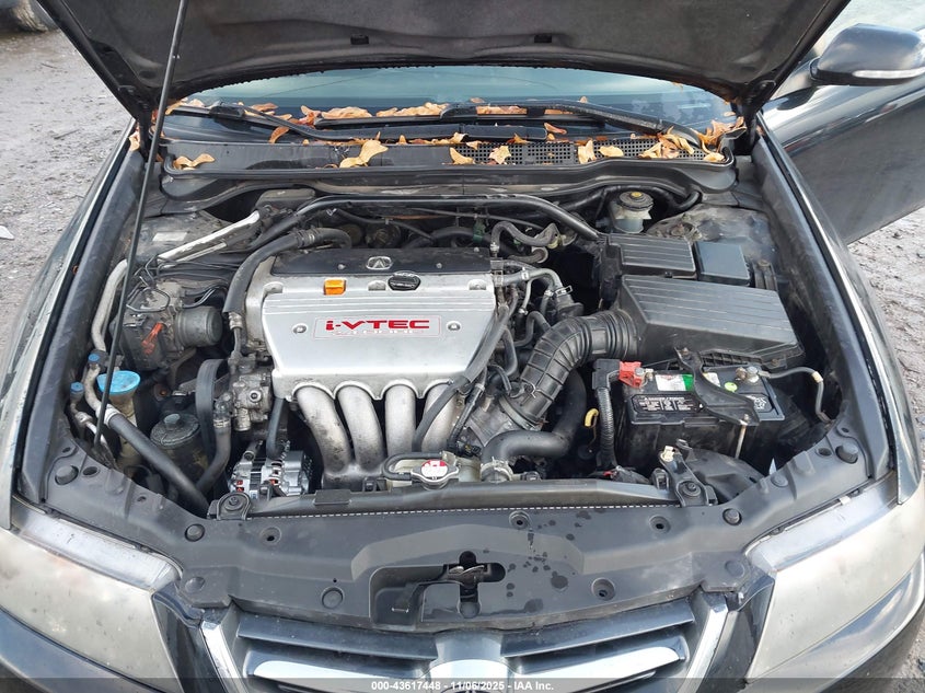 2004 Acura Tsx VIN: JH4CL96924C032031 Lot: 43617448