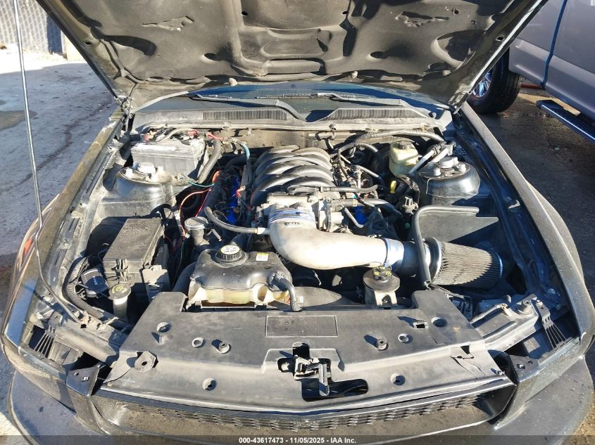 2006 Ford Mustang Gt VIN: 1ZVFT82H265199063 Lot: 43617473