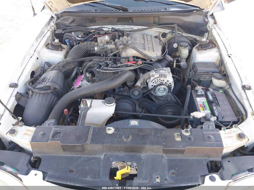 1998 Ford Mustang VIN: 1FAFP4048WF255054 Lot: 43617493