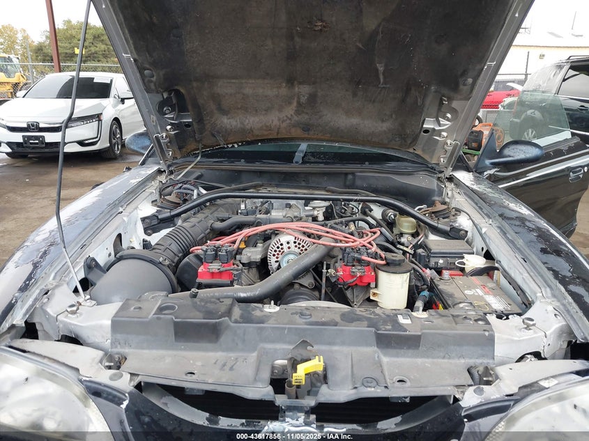 1997 Ford Mustang Gt VIN: 1FALP42X7VF107308 Lot: 43617856