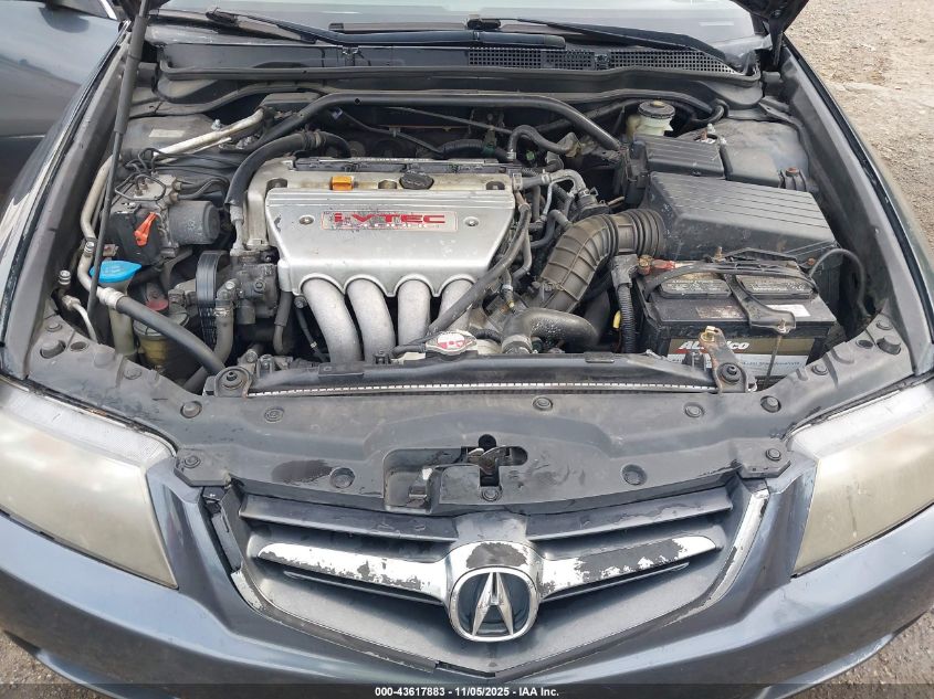 2004 Acura Tsx VIN: JH4CL96994C029885 Lot: 43617883