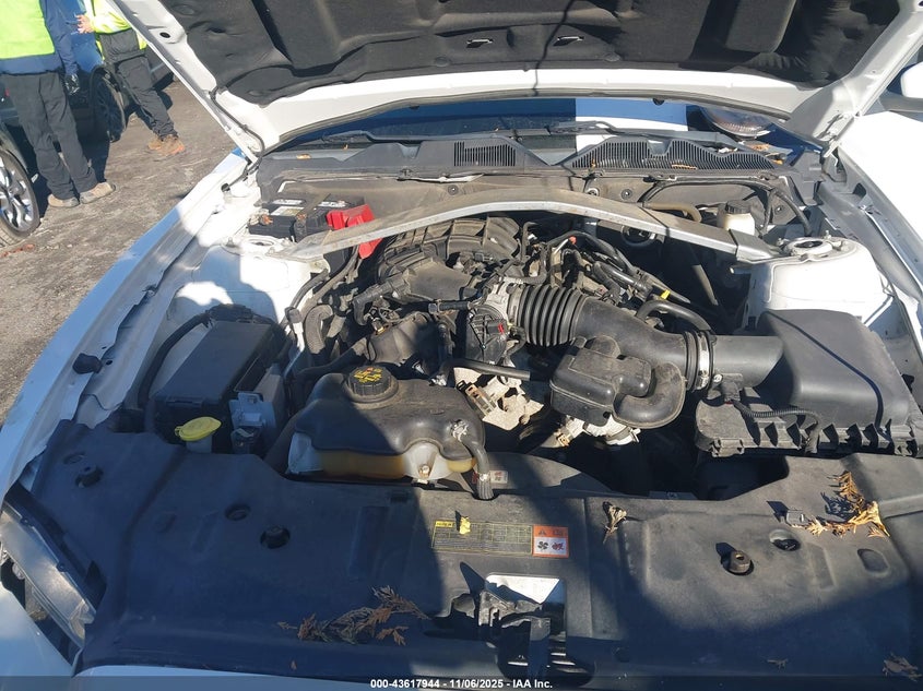 2013 Ford Mustang V6 Premium VIN: 1ZVBP8EM8D5233600 Lot: 43617944