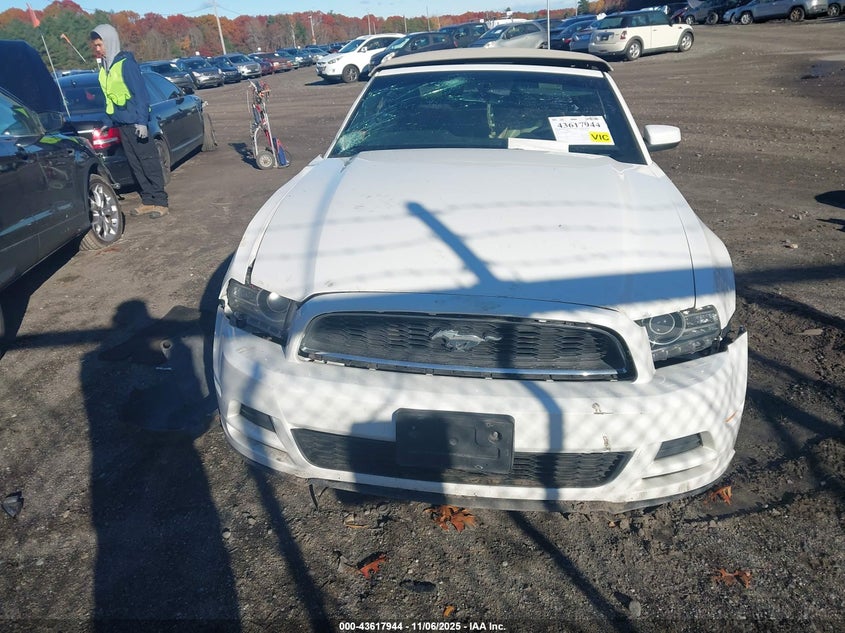 2013 Ford Mustang V6 Premium VIN: 1ZVBP8EM8D5233600 Lot: 43617944