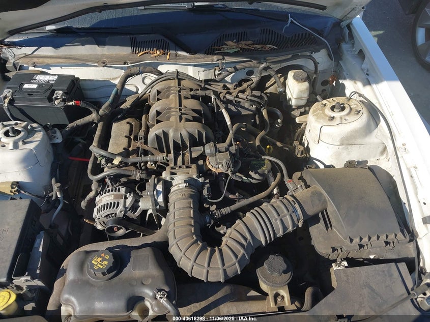 2010 Ford Mustang V6/V6 Premium VIN: 1ZVBP8EN7A5166878 Lot: 43618298