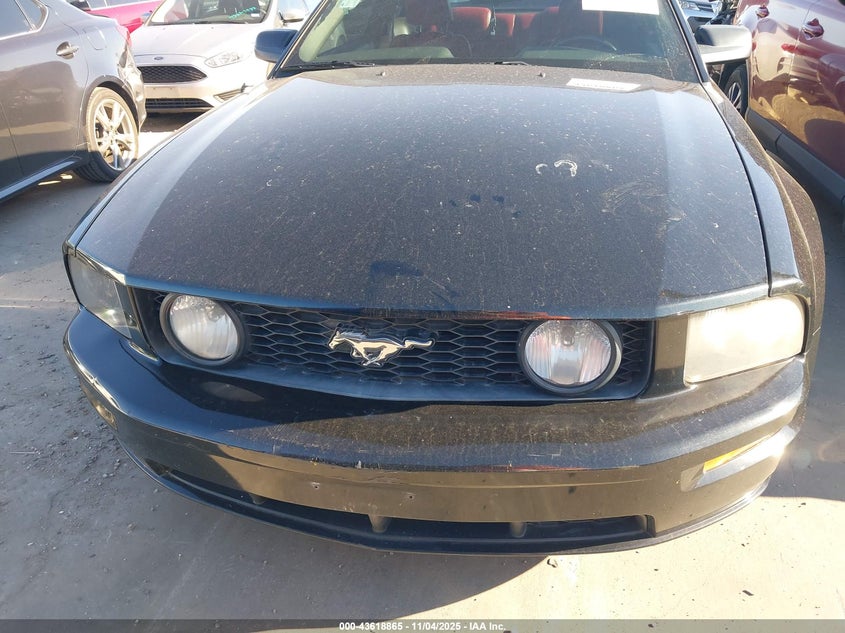 2006 Ford Mustang Gt VIN: 1ZVFT82HX65169356 Lot: 43618865