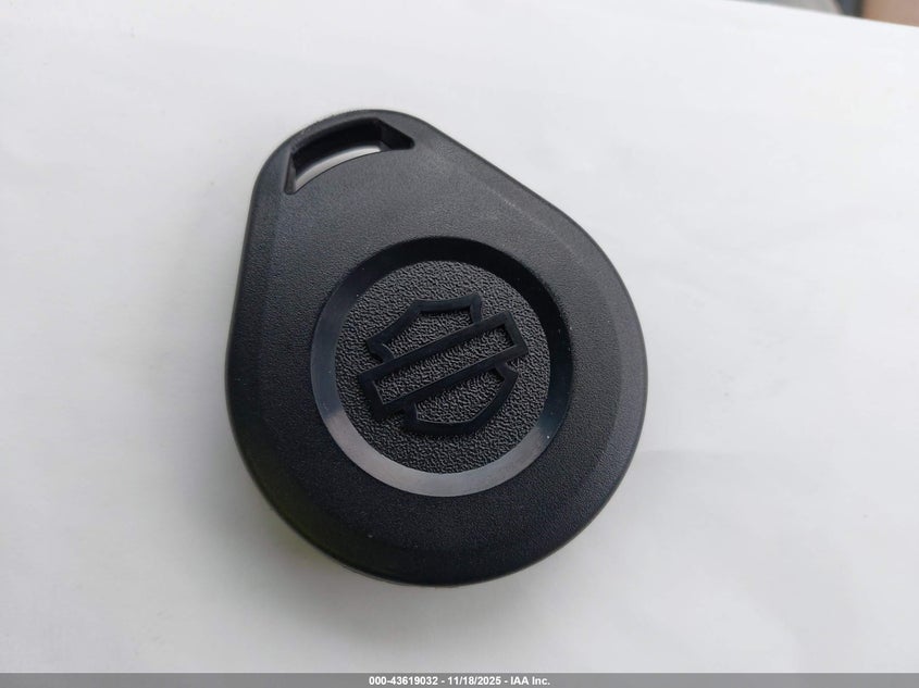 2007 Harley-Davidson Flhrci VIN: 1HD1FR4317Y605280 Lot: 43619032