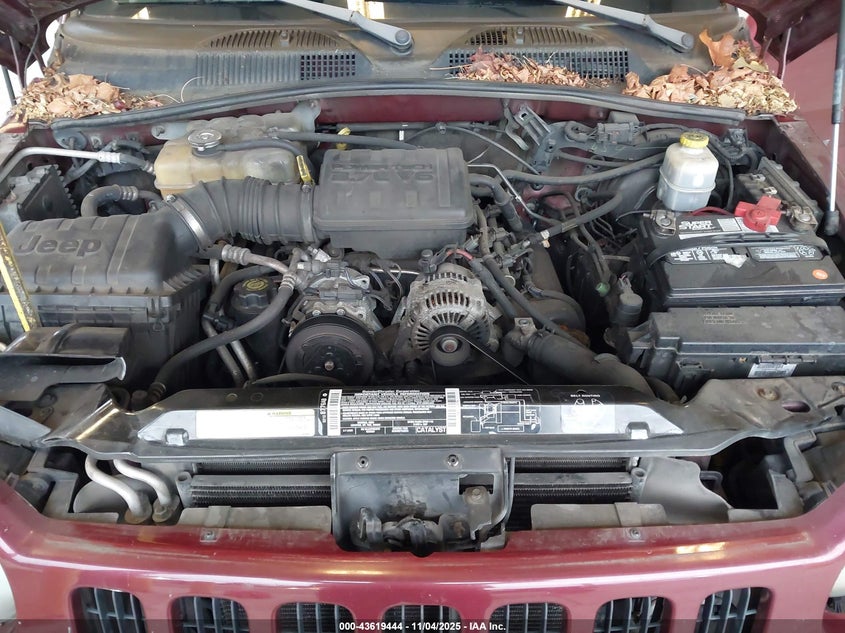 1J8GL58K93W582179 2003 JEEP LIBERTY (NORTH AMERICA) photo no. 10