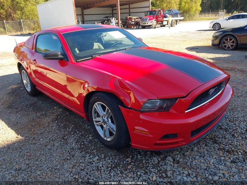 FORD MUSTANG V6
