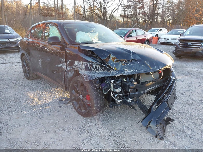 DODGE HORNET R/T EAWD
