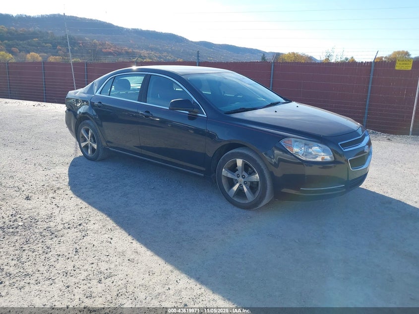 CHEVROLET MALIBU 1LT