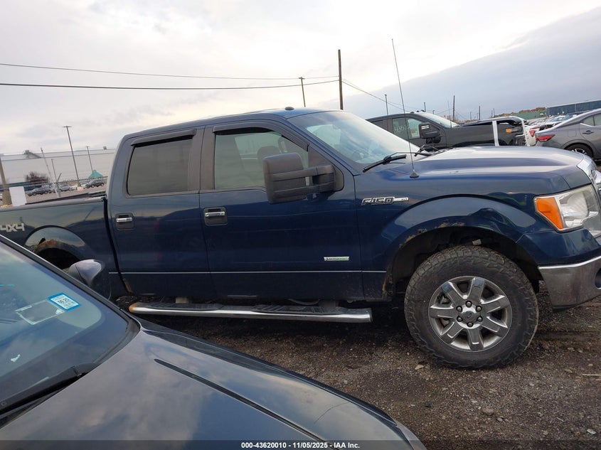 2013 FORD F-150 XLT 1FTFW1ETXDFA28053