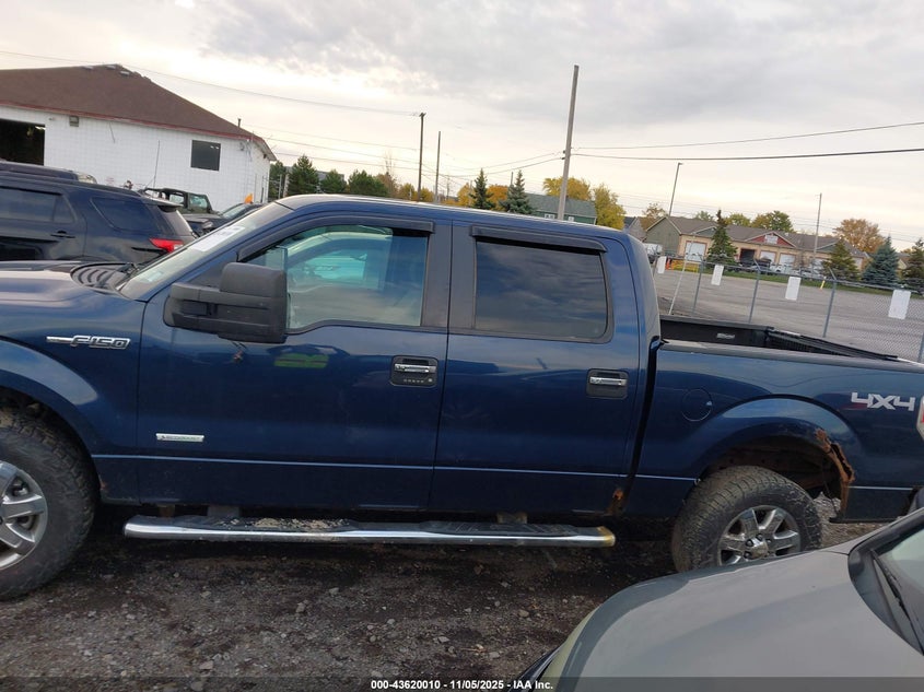 2013 FORD F-150 XLT 1FTFW1ETXDFA28053