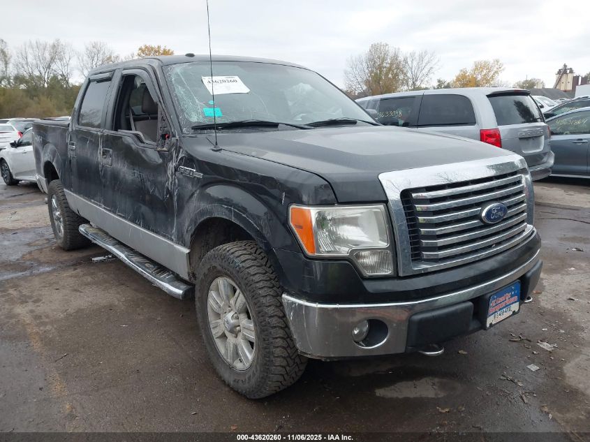 FORD F-150 FX4/HARLEY-DAVIDSON/KING RANCH/LARIAT/PLATINUM/XL/XLT