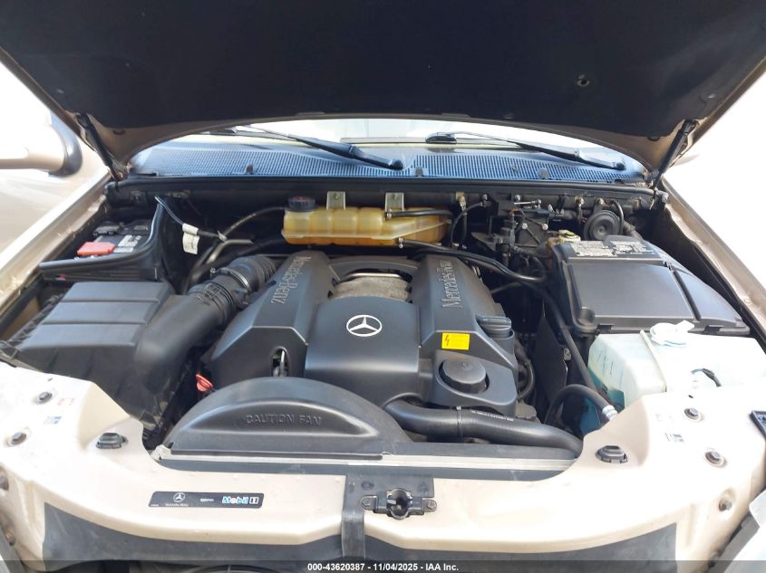 2003 Mercedes-Benz Ml 350 VIN: 4JGAB57E13A411138 Lot: 43620387