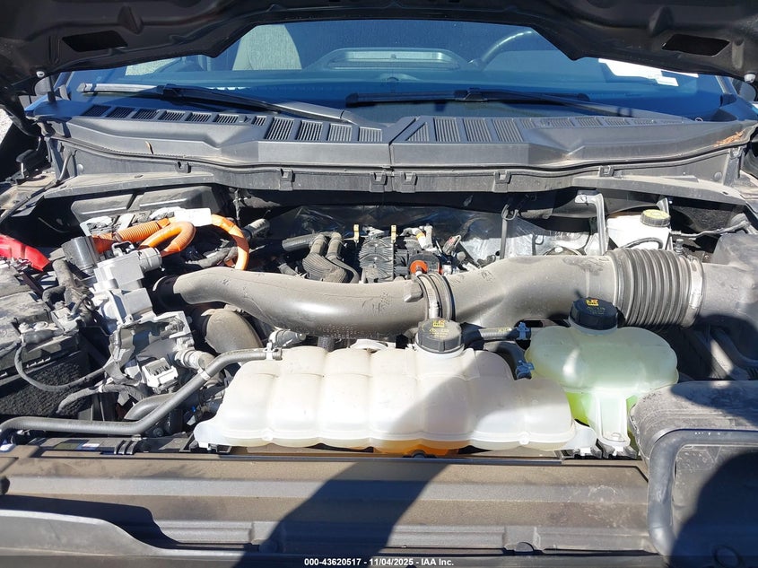 2024 FORD F-150 XLT 1FTFW3LD4RFA36888