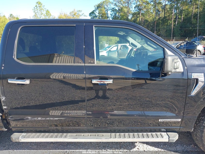 2024 FORD F-150 XLT 1FTFW3LD4RFA36888