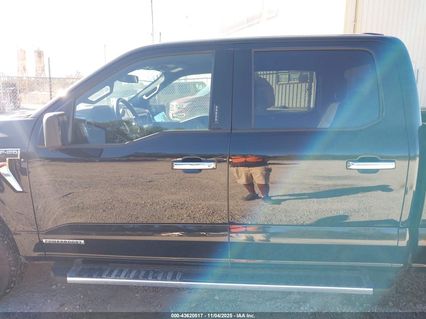 2024 FORD F-150 XLT 1FTFW3LD4RFA36888