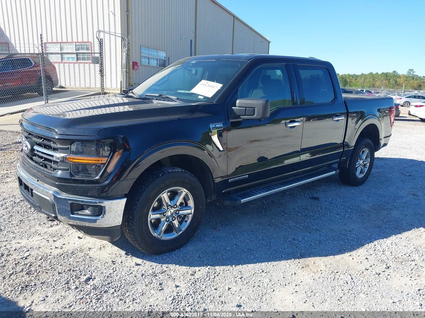 2024 FORD F-150 XLT 1FTFW3LD4RFA36888