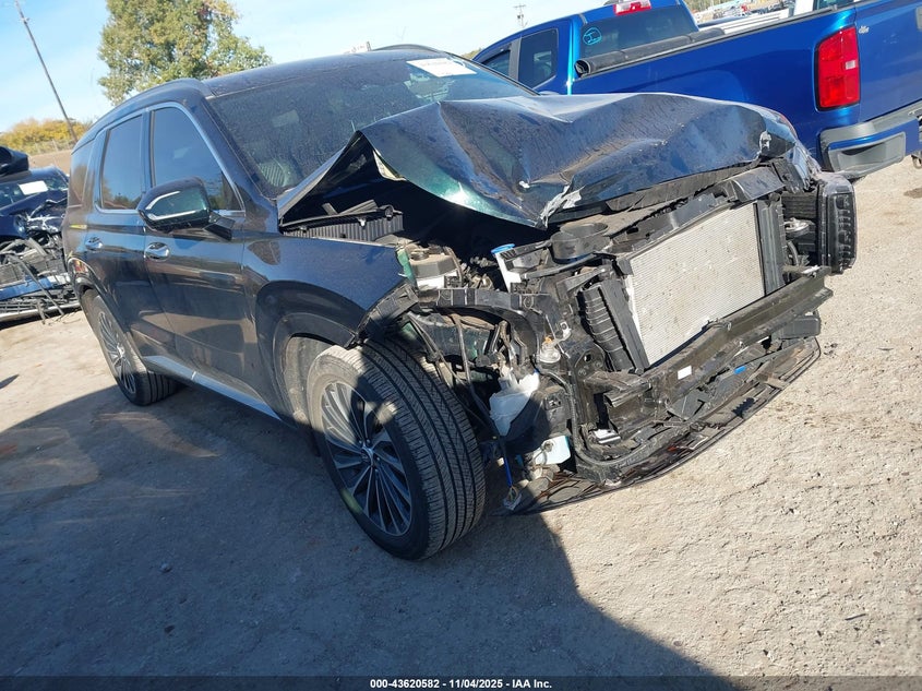 HYUNDAI PALISADE CALLIGRAPHY