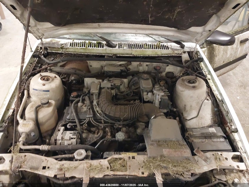 1G1JC5443R7366053 1994 CHEVROLET CAVALIER photo no. 10