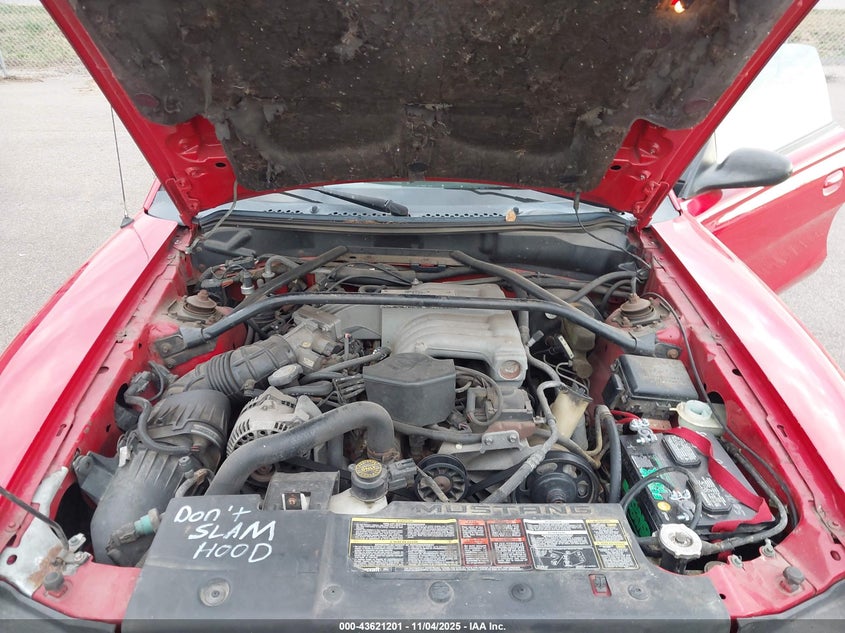 1995 Ford Mustang Gt/Gts VIN: 1FALP42T7SF141404 Lot: 43621201