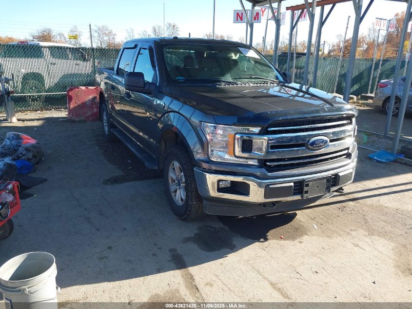 FORD F-150 XLT