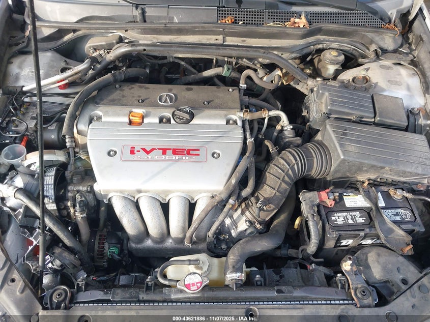 2006 Acura Tsx VIN: JH4CL96926C031013 Lot: 43621886