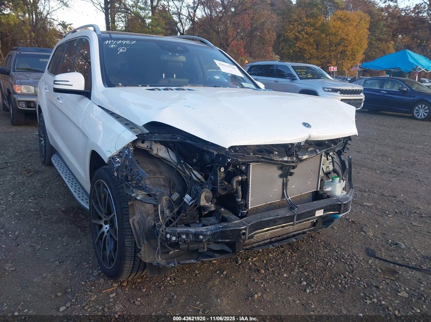 2019 MERCEDES-BENZ GLS 450 4MATIC 4JGDF6EEXKB236164