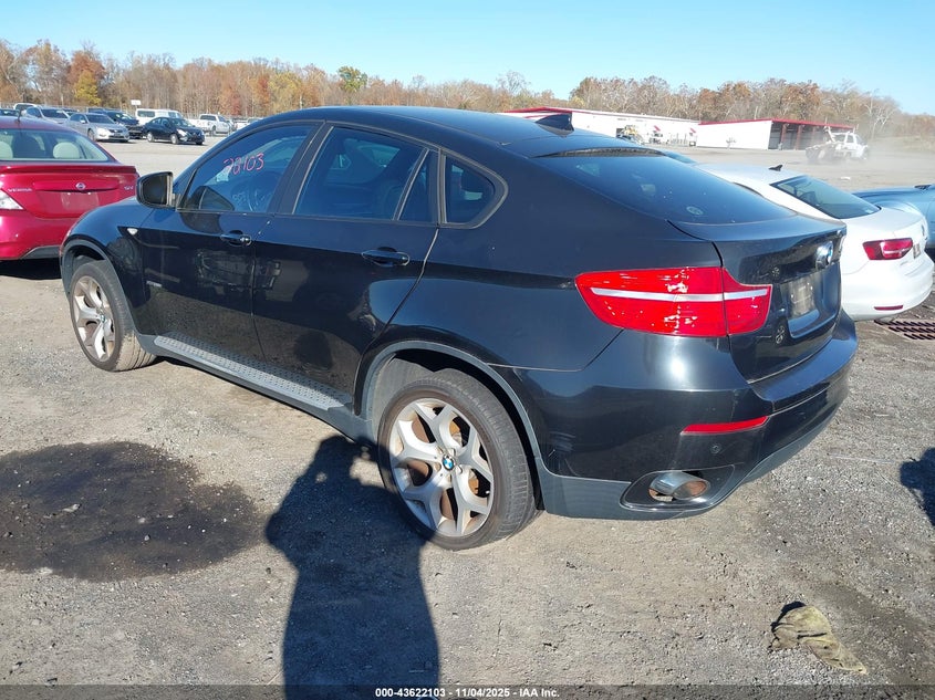 5UXFG43589L223031 2009 BMW X6 photo no. 3