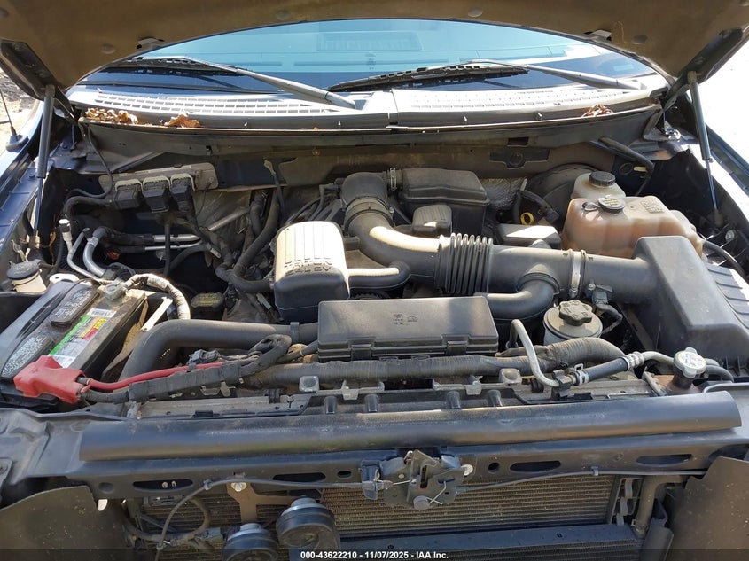 1FTFW1CV1AFC44020 2010 FORD F-150 photo no. 10