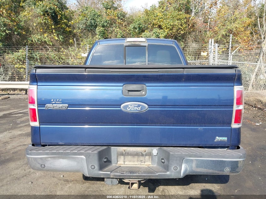 1FTFW1CV1AFC44020 2010 FORD F-150 photo no. 16