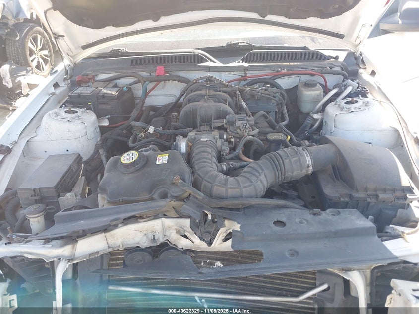 2008 Ford Mustang V6 Deluxe/V6 Premium VIN: 1ZVHT84N485191271 Lot: 43622329