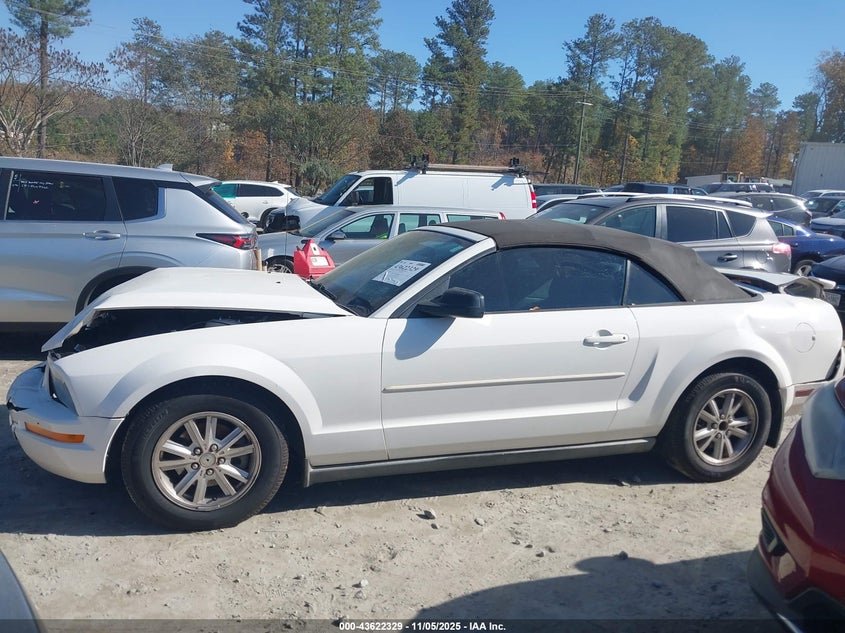 2008 Ford Mustang V6 Deluxe/V6 Premium VIN: 1ZVHT84N485191271 Lot: 43622329
