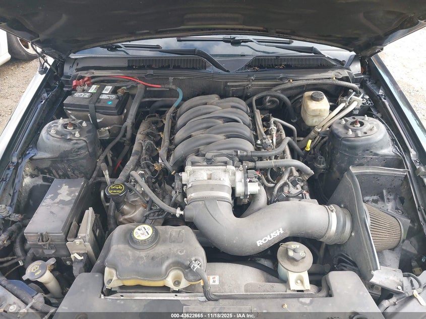 2007 Ford Mustang Gt Deluxe/Gt Premium VIN: 1ZVHT85H775349464 Lot: 43622665