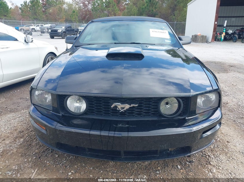 2007 Ford Mustang Gt Deluxe/Gt Premium VIN: 1ZVHT85H775349464 Lot: 43622665