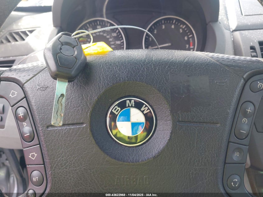 WBXPA93494WA66960 2004 BMW X3 photo no. 11