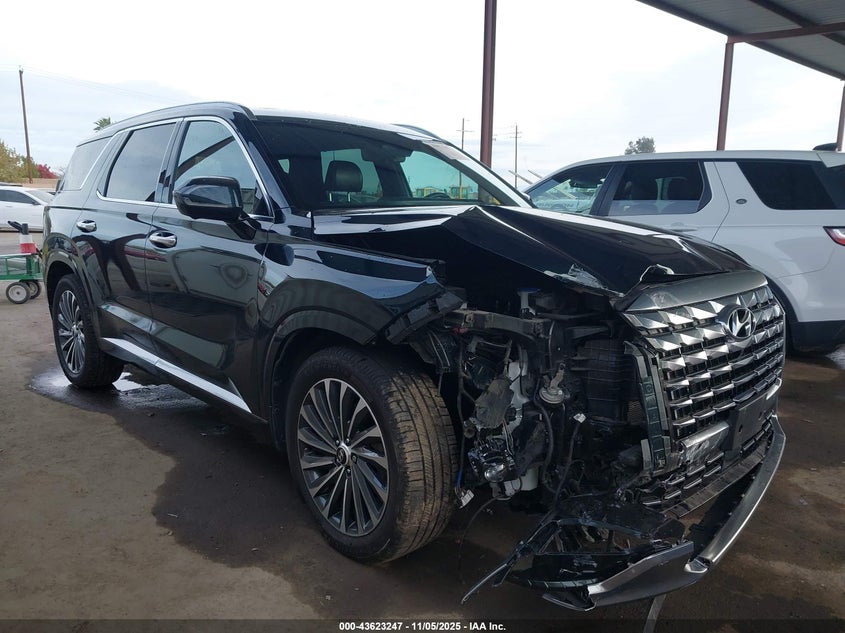 HYUNDAI PALISADE CALLIGRAPHY