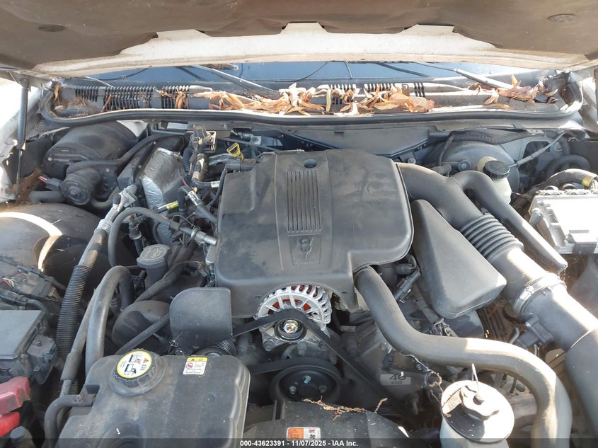 2006 Mercury Grand Marquis Ls VIN: 2MEHM75W66X603007 Lot: 43623391