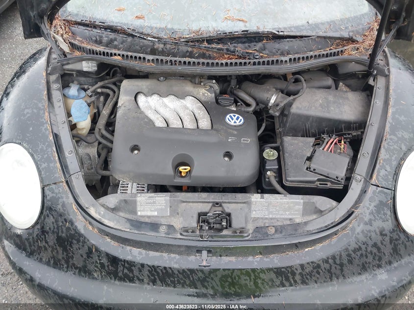 1999 Volkswagen New Beetle Gls VIN: 3VWCA21C8XM435142 Lot: 43623523