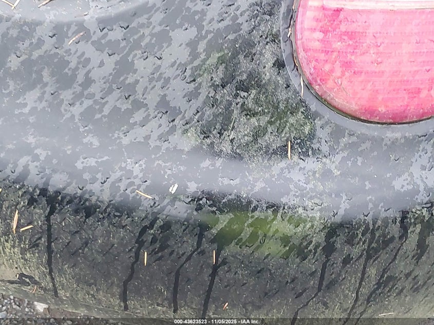 1999 Volkswagen New Beetle Gls VIN: 3VWCA21C8XM435142 Lot: 43623523